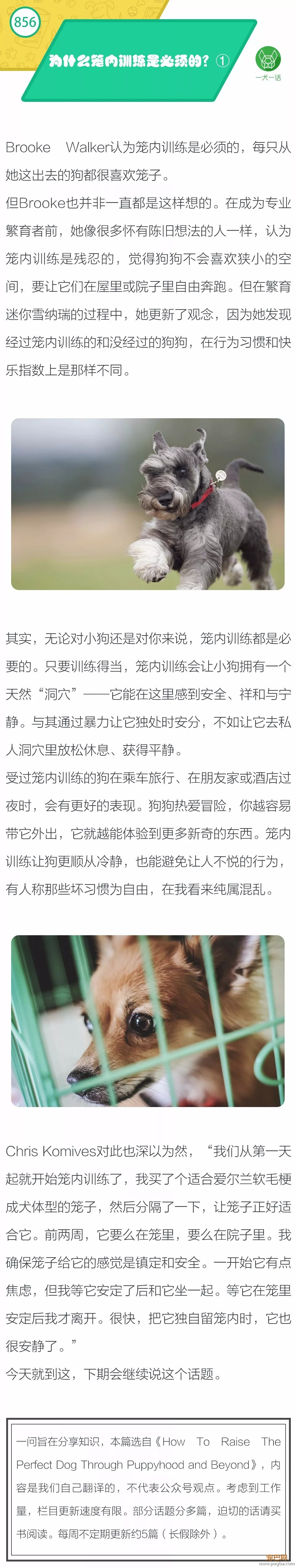 为什么笼内训练是必须的？①-1.jpeg