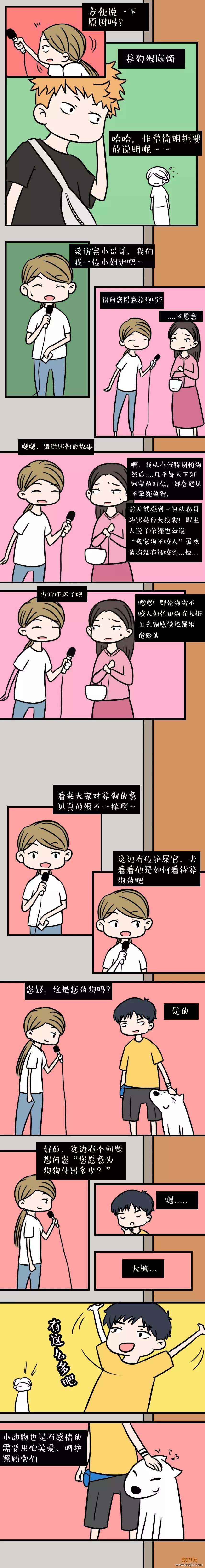当我们讨论狗时，我们在讨论什么？-3.jpeg