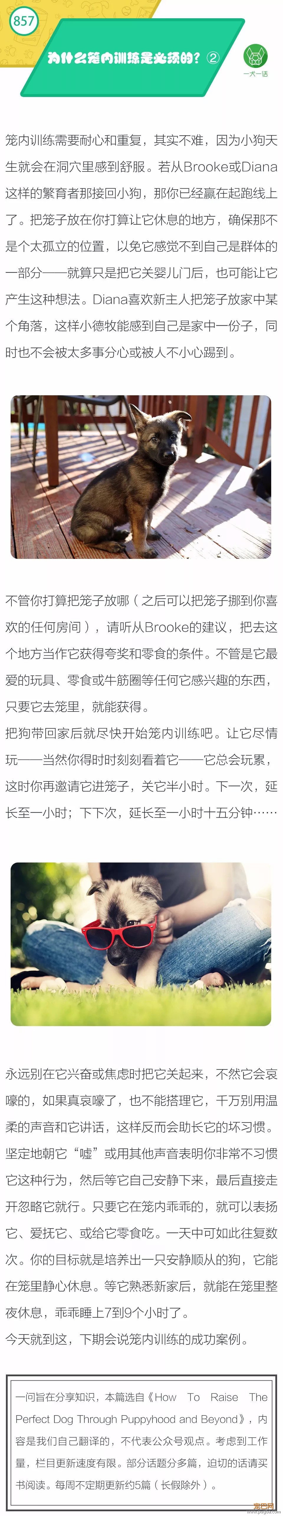 为什么笼内训练是必须的？②-1.jpeg