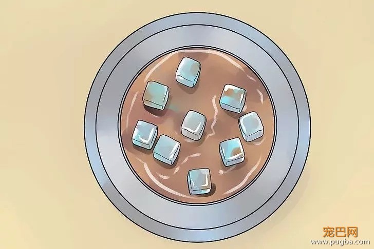 天很热，但狗狗就是不喝水咋整？-12.jpeg