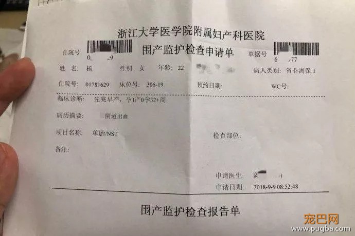 网红遛狗不牵绳致孕妇早产，长得丑就可以没素质？-10.jpeg