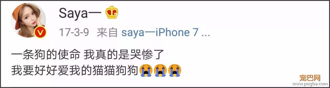 网红遛狗不牵绳致孕妇早产，长得丑就可以没素质？-13.jpeg