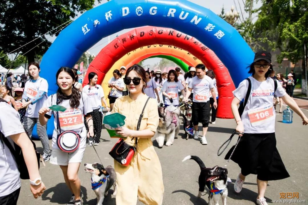 大家都误会哈士奇了，二哈真的不拆家！-17.jpg