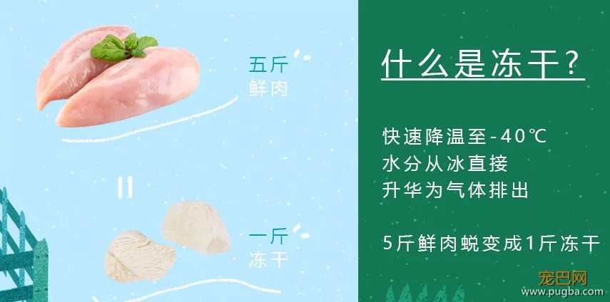 安全+好吃+便宜的狗狗零食哪里找？这里！！-5.jpeg