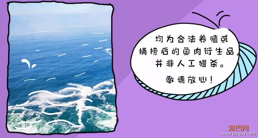 安全+好吃+便宜的狗狗零食哪里找？这里！！-19.jpeg