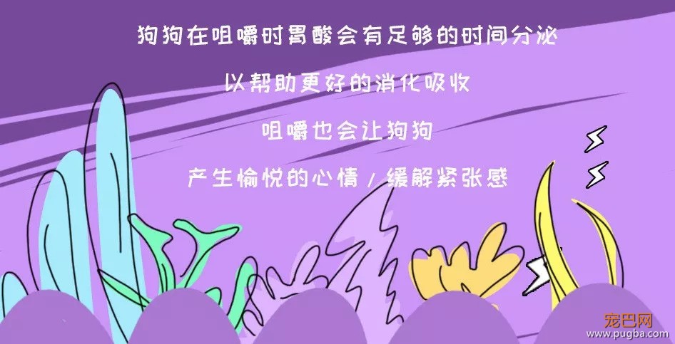 安全+好吃+便宜的狗狗零食哪里找？这里！！-17.jpeg