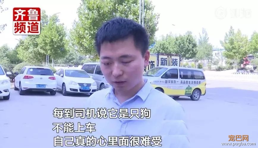 今天被《小Q》花絮虐哭：你愿意给导盲犬多一点包容吗？-6.jpeg