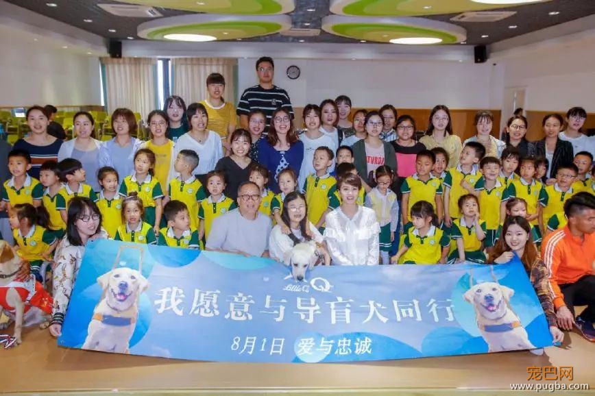今天被《小Q》花絮虐哭：你愿意给导盲犬多一点包容吗？-12.jpeg