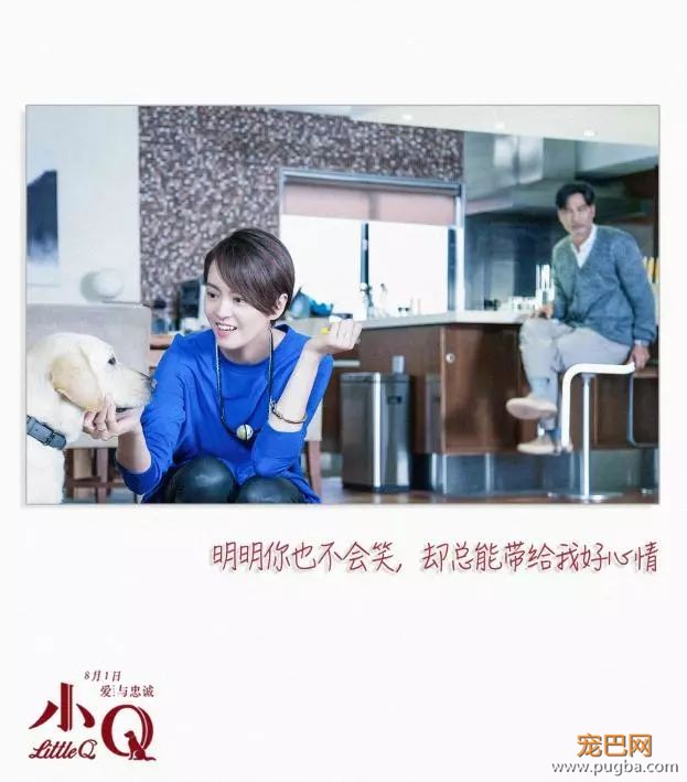 今天被《小Q》花絮虐哭：你愿意给导盲犬多一点包容吗？-15.jpeg