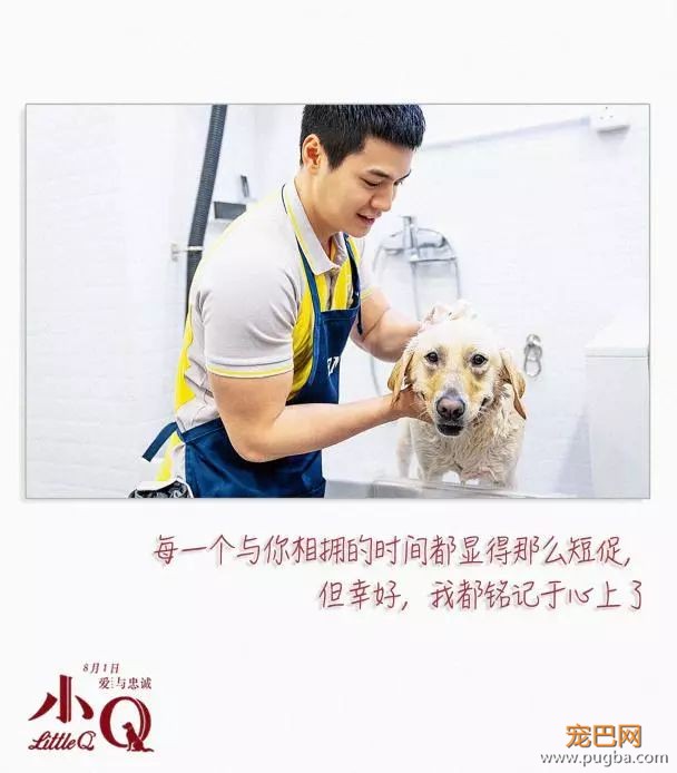 今天被《小Q》花絮虐哭：你愿意给导盲犬多一点包容吗？-16.jpeg