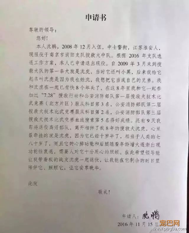 国庆阅兵前夜，汶川地震最后一只搜救犬“沈虎”去世，回汪星找同伴了…-3.jpeg