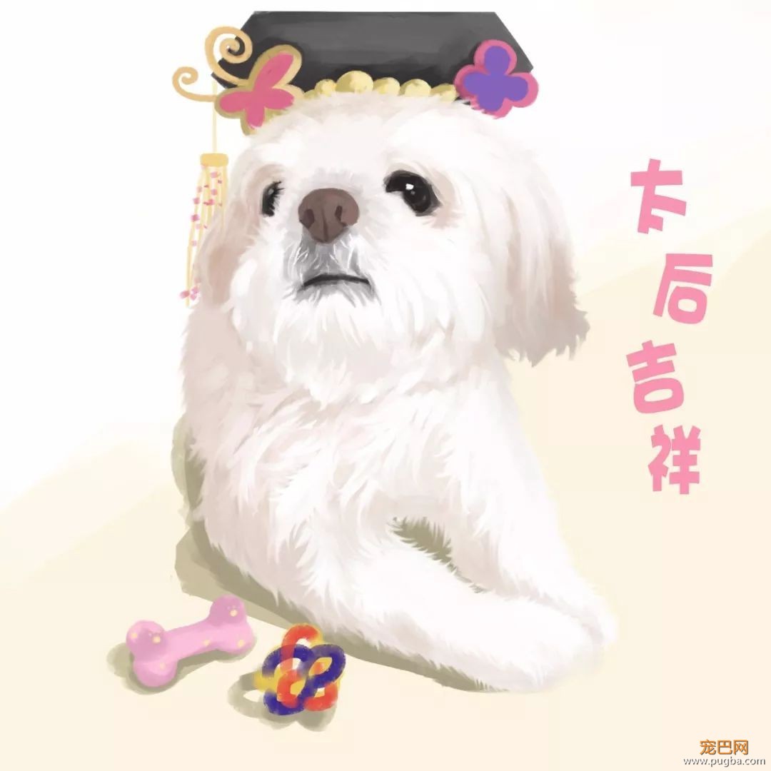 出生在9月的狗狗们，祝你们生日愉快~-5.jpeg
