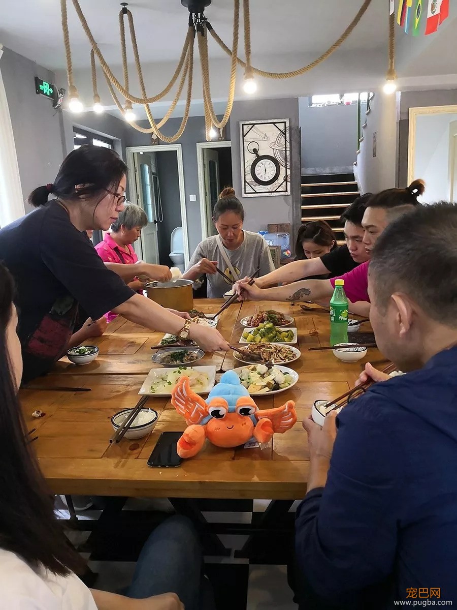 好吃好睡好风景，和狗狗杭州醉氧之旅归来~-6.jpeg