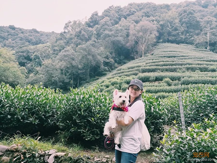 好吃好睡好风景，和狗狗杭州醉氧之旅归来~-7.jpeg
