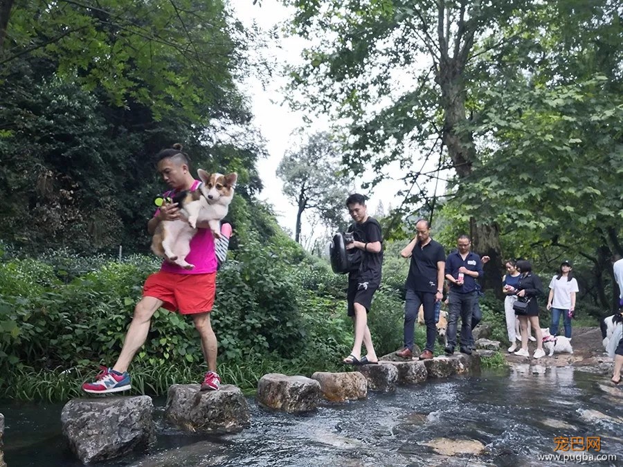 好吃好睡好风景，和狗狗杭州醉氧之旅归来~-9.jpeg