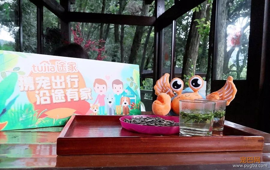 好吃好睡好风景，和狗狗杭州醉氧之旅归来~-16.jpeg