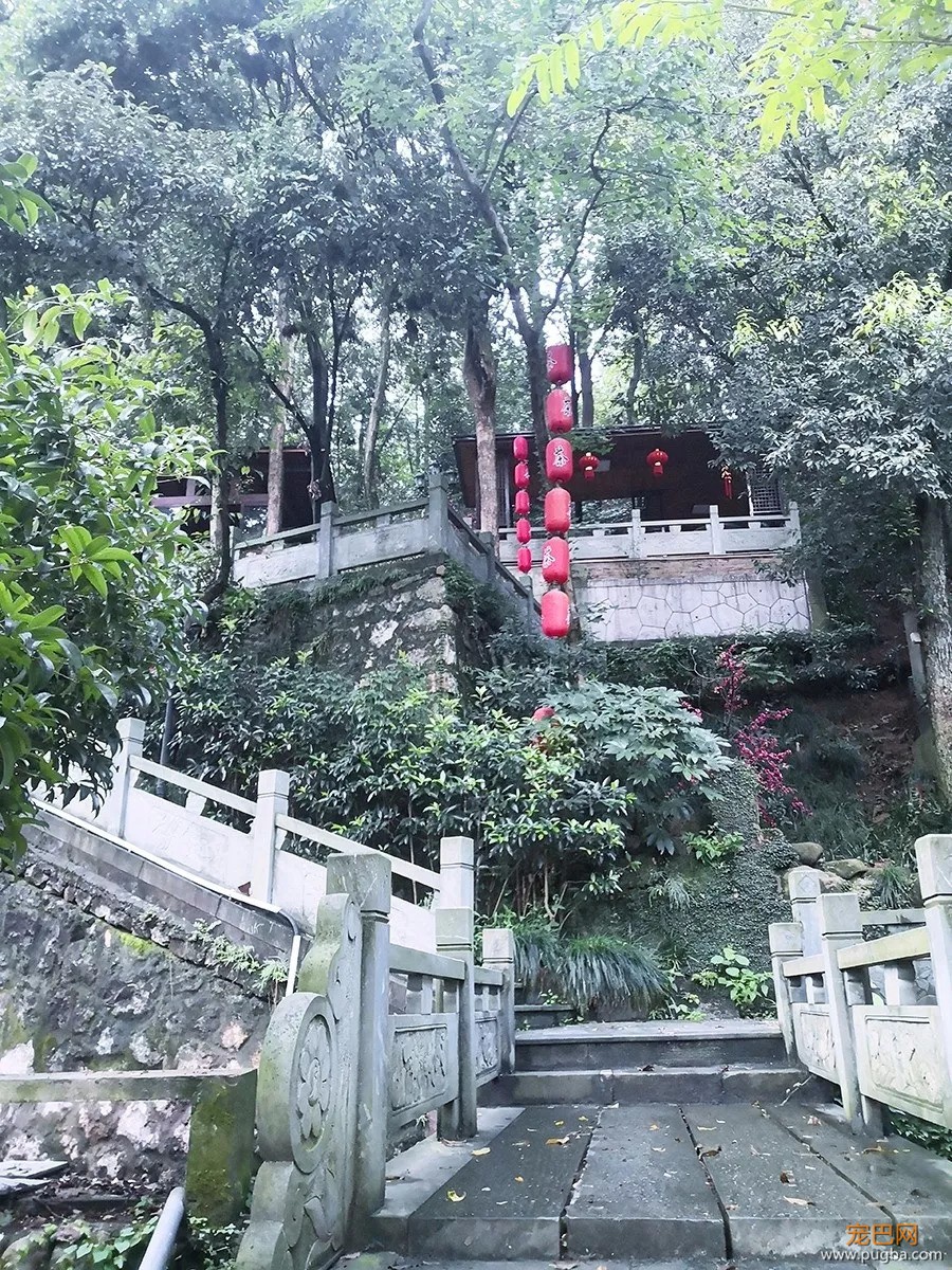 好吃好睡好风景，和狗狗杭州醉氧之旅归来~-15.jpeg