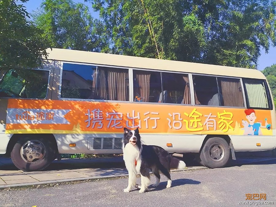 好吃好睡好风景，和狗狗杭州醉氧之旅归来~-25.jpeg