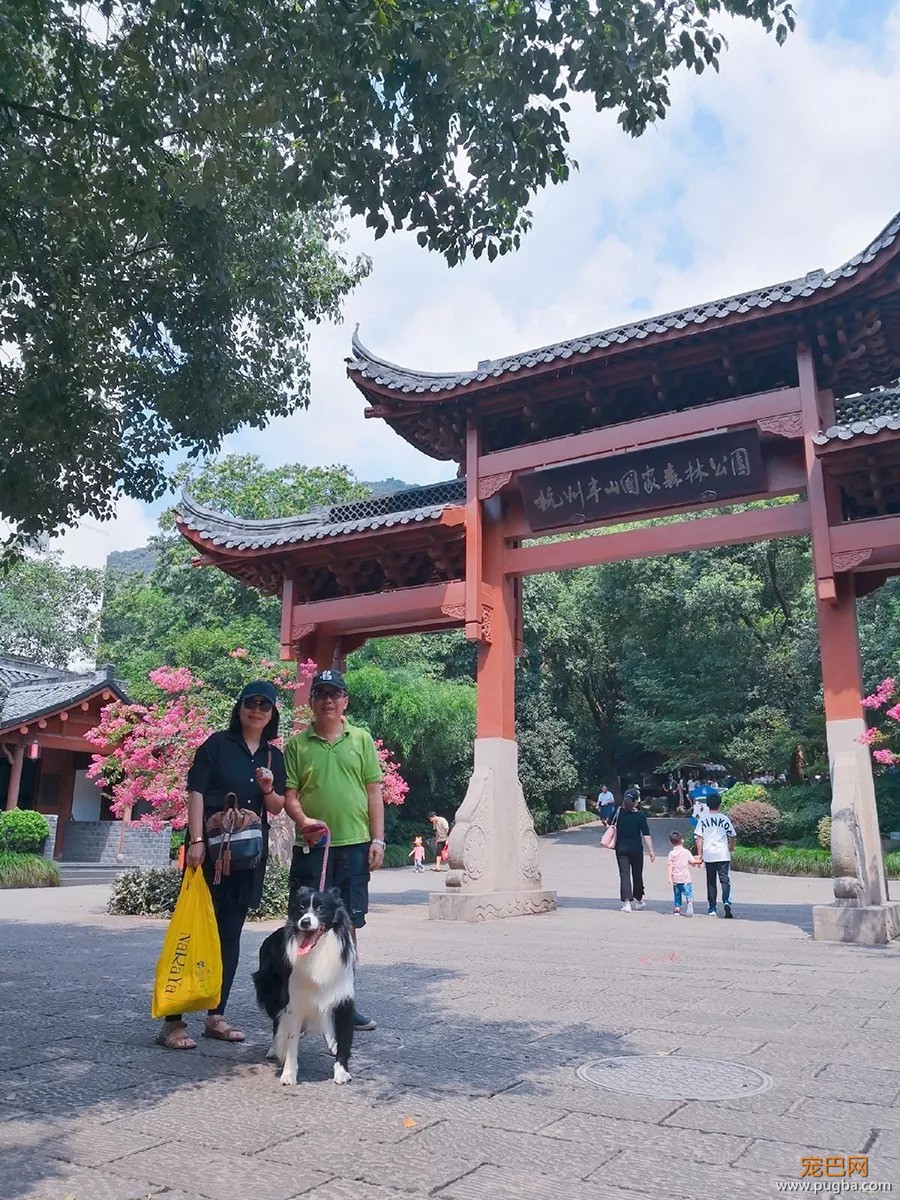 好吃好睡好风景，和狗狗杭州醉氧之旅归来~-26.jpeg