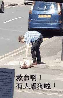 面对赖皮不肯回家的狗砸，这位国外大爷是这样做的……-4.gif