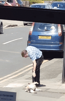面对赖皮不肯回家的狗砸，这位国外大爷是这样做的……-7.gif