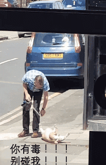 面对赖皮不肯回家的狗砸，这位国外大爷是这样做的……-8.gif