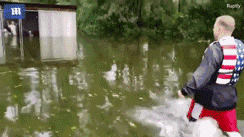 面对自然灾害，你会带走你的宠物吗？-4.gif