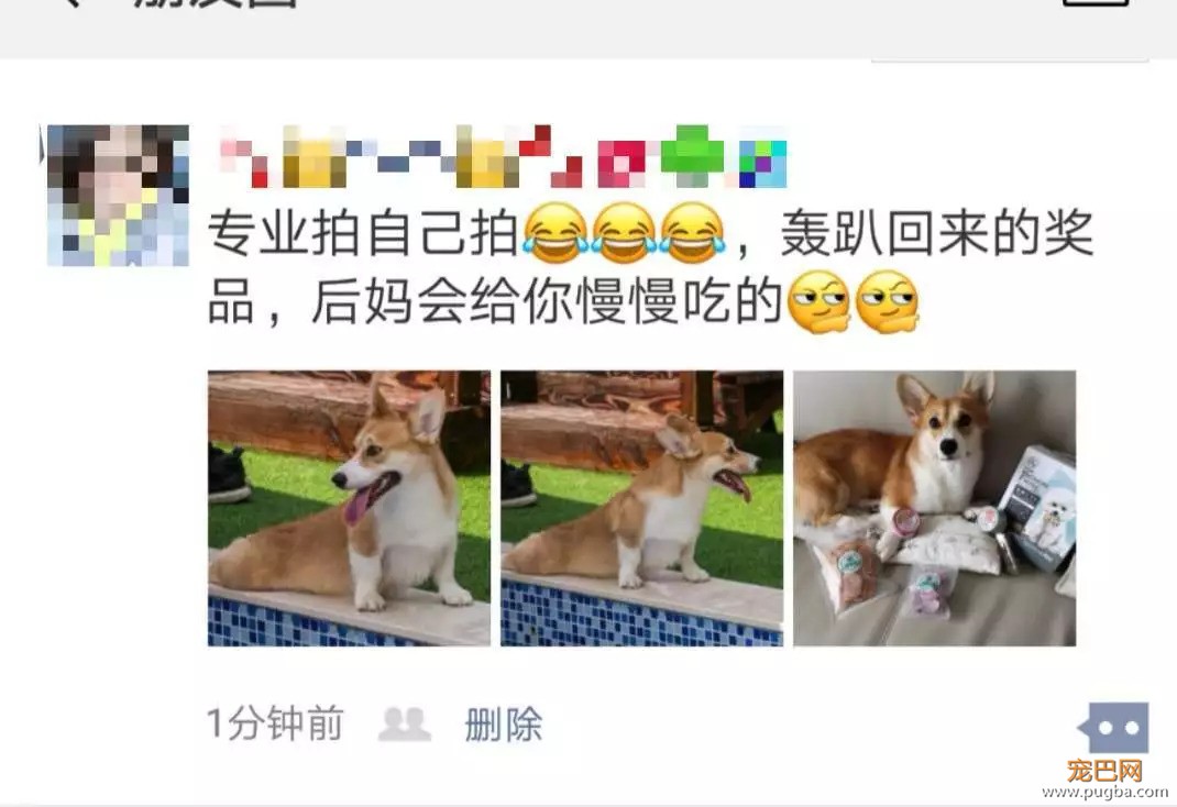 我们给狗狗搞了一场最IN轰趴，玩过的狗狗走路都带风~-22.jpeg