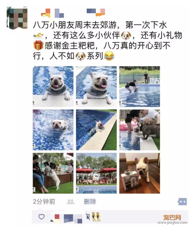 我们给狗狗搞了一场最IN轰趴，玩过的狗狗走路都带风~-20.jpeg