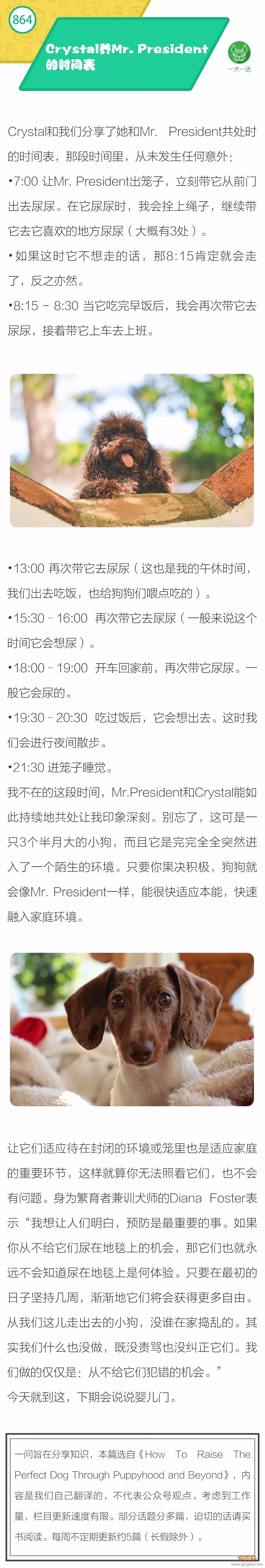 Crystal养Mr.President的时间表-1.jpeg
