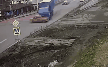 不管刮风下雨，这两只狗砸一听到车祸声就会冲出来看热闹！-1.gif
