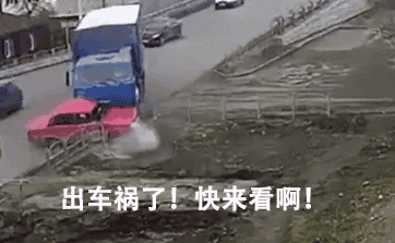 不管刮风下雨，这两只狗砸一听到车祸声就会冲出来看热闹！-2.gif