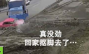 不管刮风下雨，这两只狗砸一听到车祸声就会冲出来看热闹！-3.gif