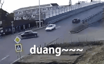 不管刮风下雨，这两只狗砸一听到车祸声就会冲出来看热闹！-5.gif