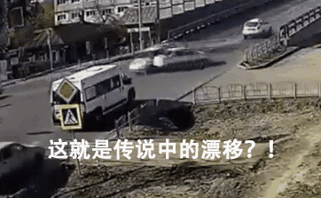 不管刮风下雨，这两只狗砸一听到车祸声就会冲出来看热闹！-6.gif