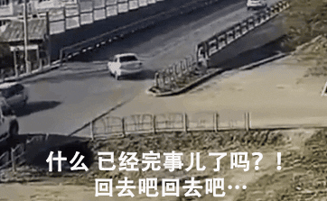 不管刮风下雨，这两只狗砸一听到车祸声就会冲出来看热闹！-7.gif
