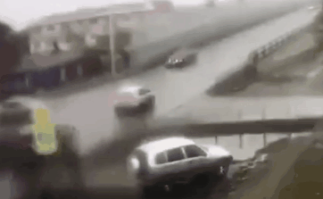 不管刮风下雨，这两只狗砸一听到车祸声就会冲出来看热闹！-9.gif