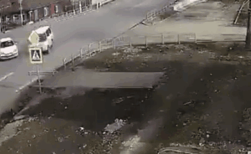 不管刮风下雨，这两只狗砸一听到车祸声就会冲出来看热闹！-12.gif