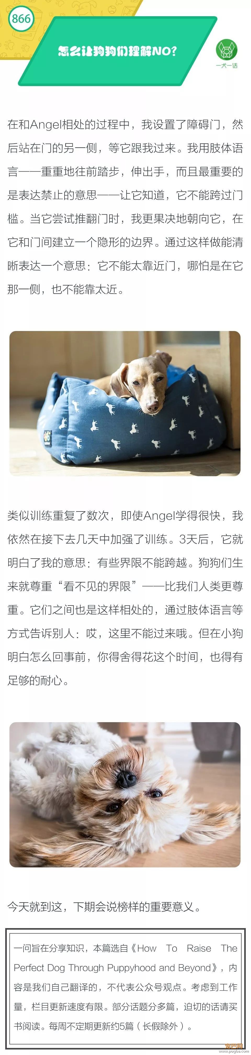 怎么让狗狗们理解NO？①-1.jpeg