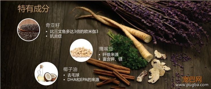 换季最可怕，如何当一个底气十足的铲屎官？！-5.jpeg