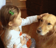 这是我今年看过最暖的事儿！-14.gif