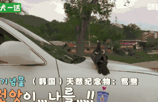 人到中年，不止有离婚官司还有鸳鸯缠身的？-5.gif