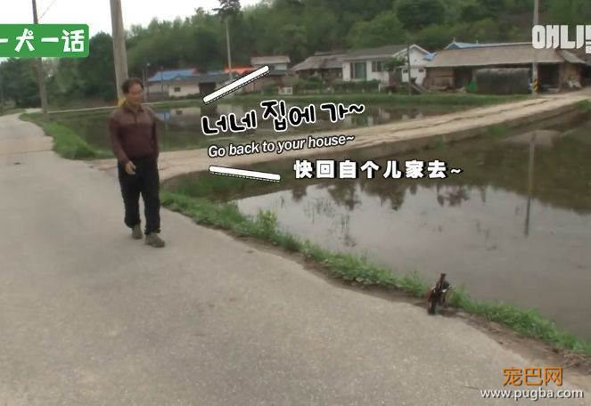 人到中年，不止有离婚官司还有鸳鸯缠身的？-6.jpeg