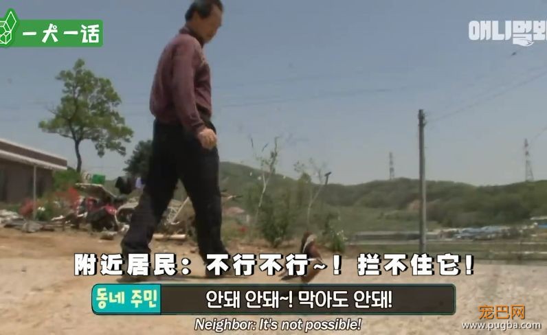 人到中年，不止有离婚官司还有鸳鸯缠身的？-13.jpeg