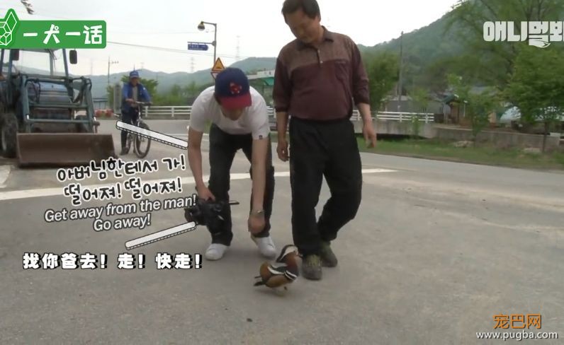 人到中年，不止有离婚官司还有鸳鸯缠身的？-11.jpeg