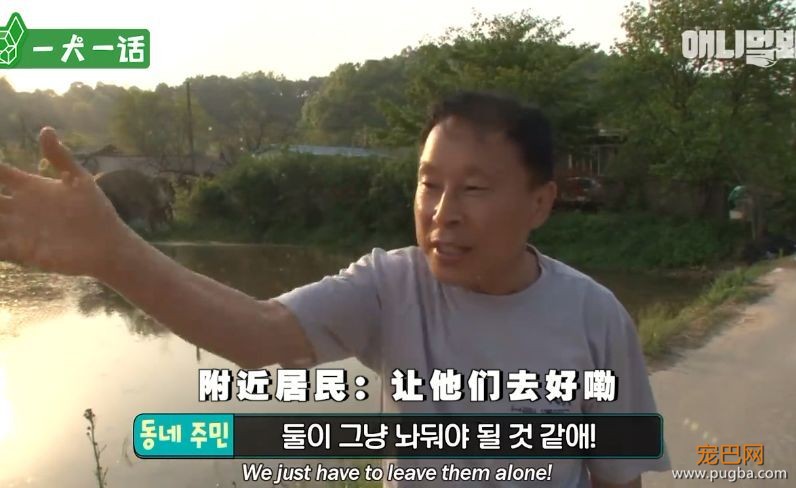 人到中年，不止有离婚官司还有鸳鸯缠身的？-14.jpeg