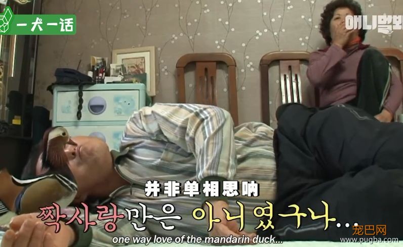 人到中年，不止有离婚官司还有鸳鸯缠身的？-16.jpeg