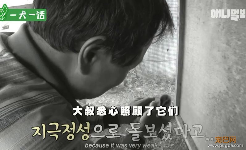 人到中年，不止有离婚官司还有鸳鸯缠身的？-17.jpeg
