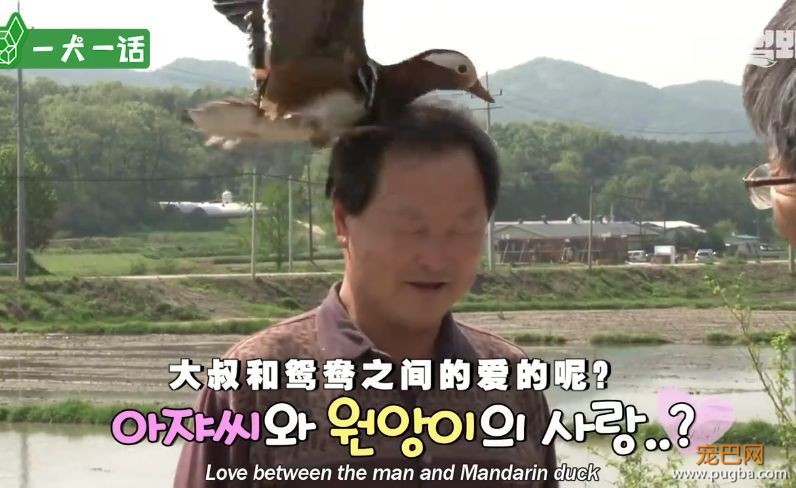 人到中年，不止有离婚官司还有鸳鸯缠身的？-18.jpeg