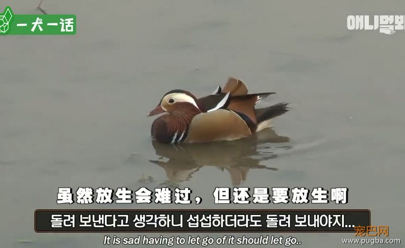 人到中年，不止有离婚官司还有鸳鸯缠身的？-19.jpeg